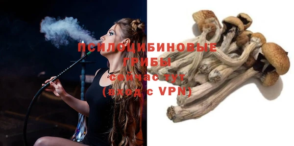 PSILOCYBIN Балахна